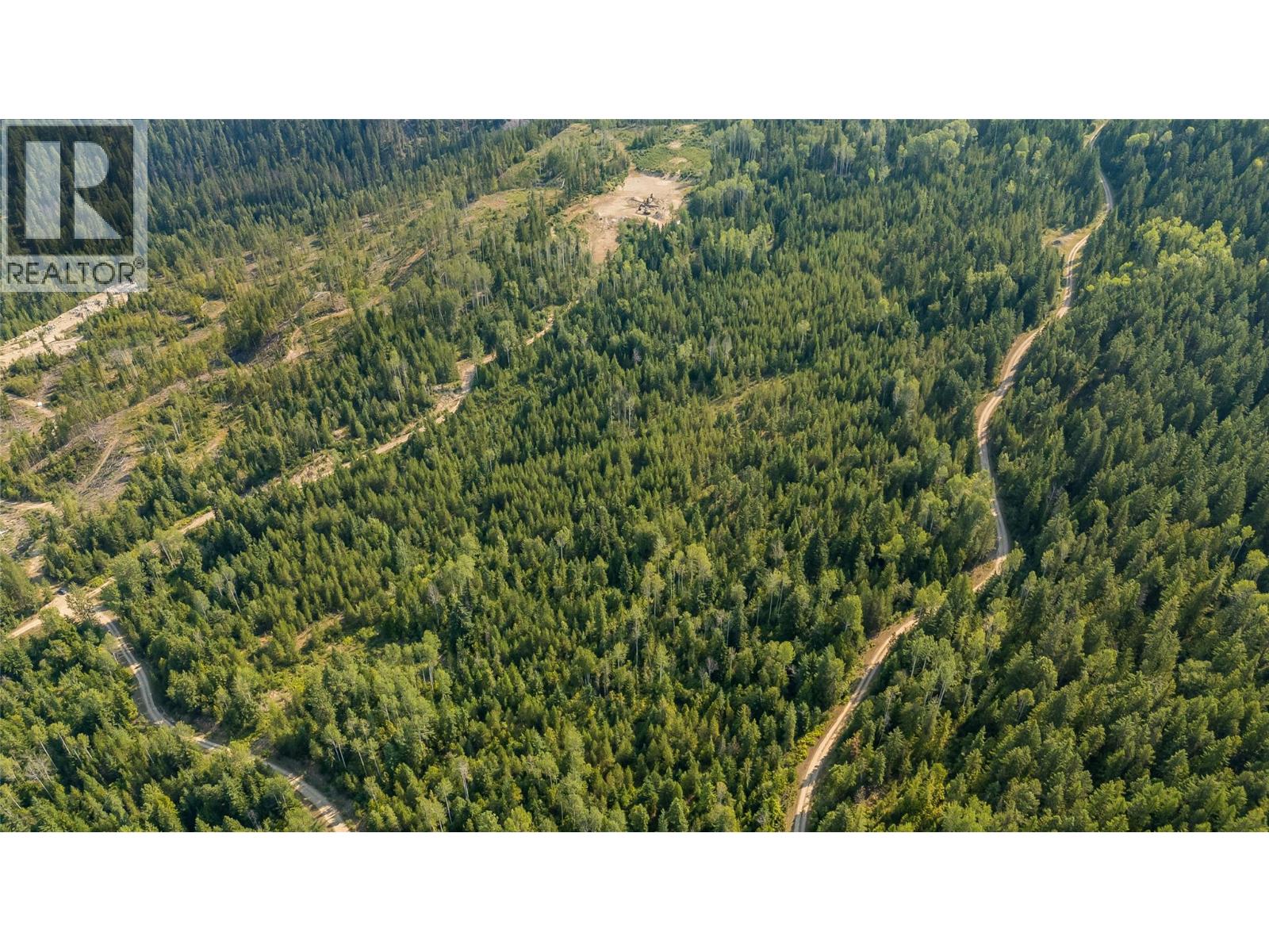 Lot 1 Elliot Forest Service Road, Lemon Creek, British Columbia  V0G 2C0 - Photo 11 - 10396677