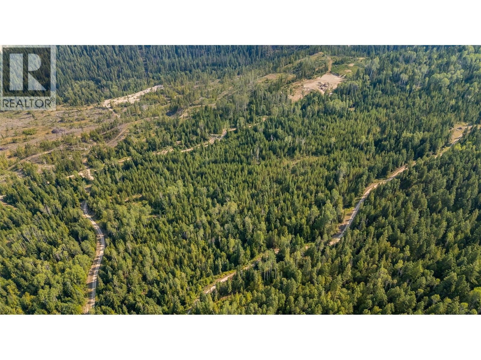 Lot 1 Elliot Forest Service Road, Lemon Creek, British Columbia  V0G 2C0 - Photo 12 - 10396677