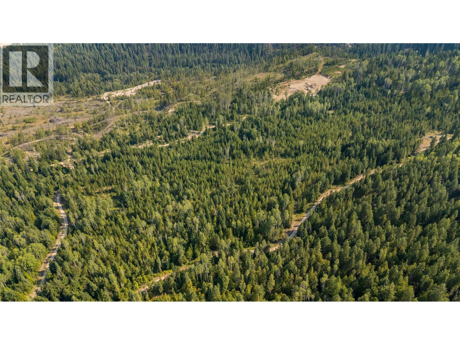 Lot 1 Elliot Forest Service Road, Lemon Creek, British Columbia  V0G 2C0 - Photo 13 - 10396677