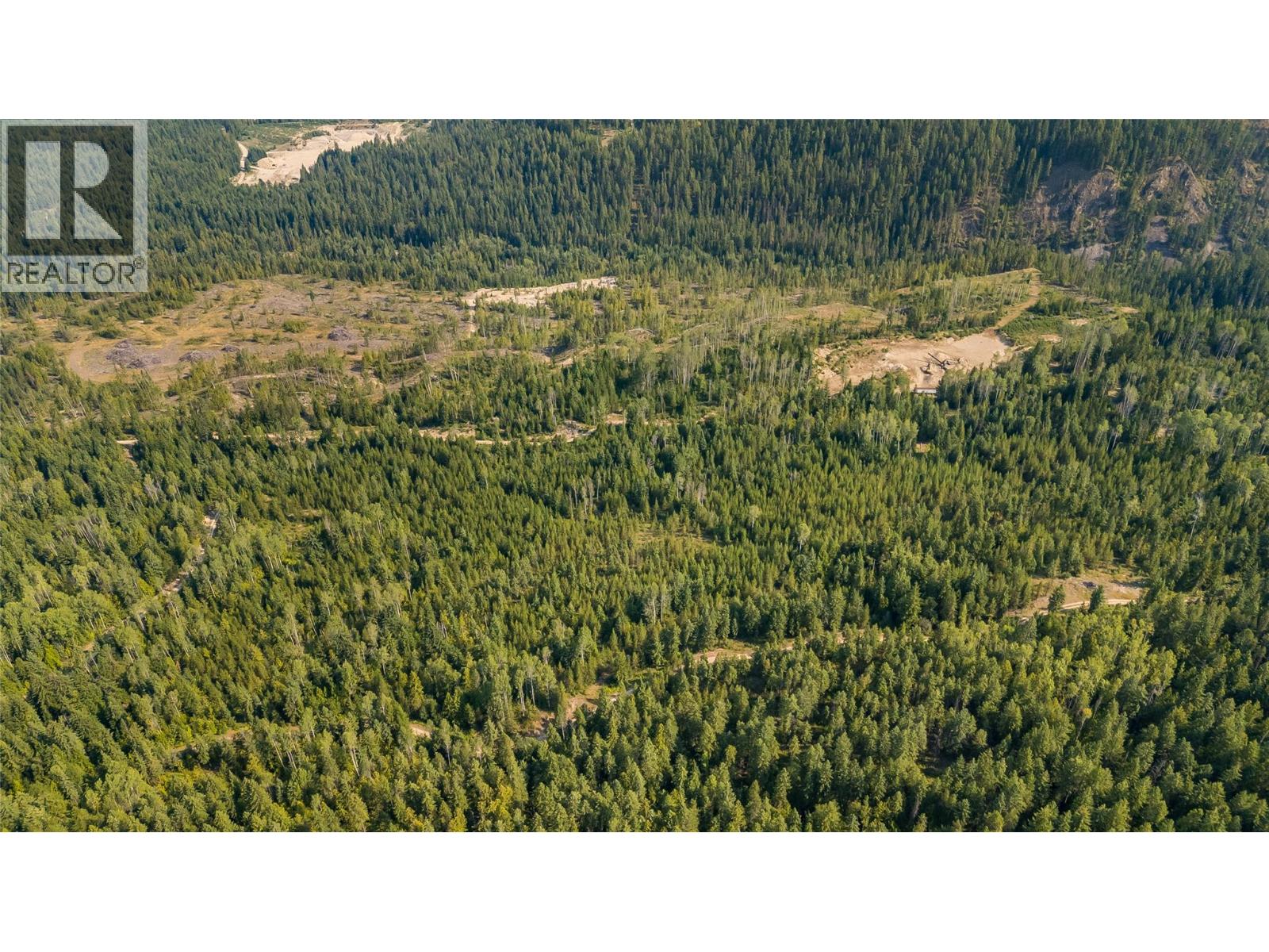 Lot 1 Elliot Forest Service Road, Lemon Creek, British Columbia  V0G 2C0 - Photo 14 - 10396677