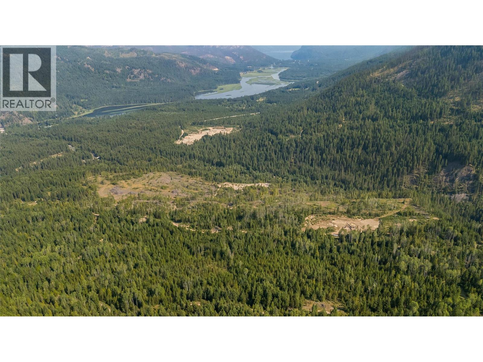Lot 1 Elliot Forest Service Road, Lemon Creek, British Columbia  V0G 2C0 - Photo 16 - 10396677