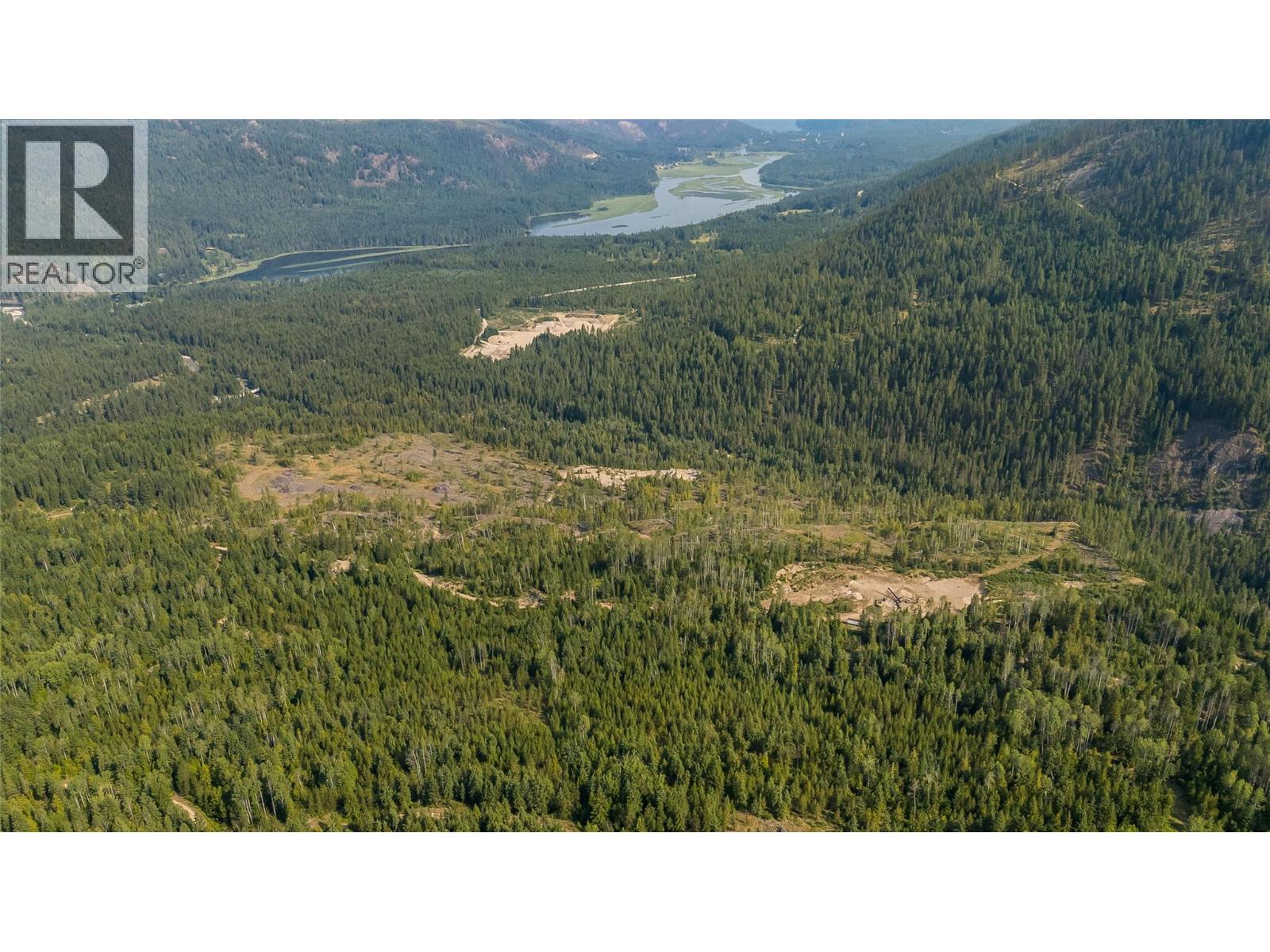 Lot 1 Elliot Forest Service Road, Lemon Creek, British Columbia  V0G 2C0 - Photo 17 - 10396677