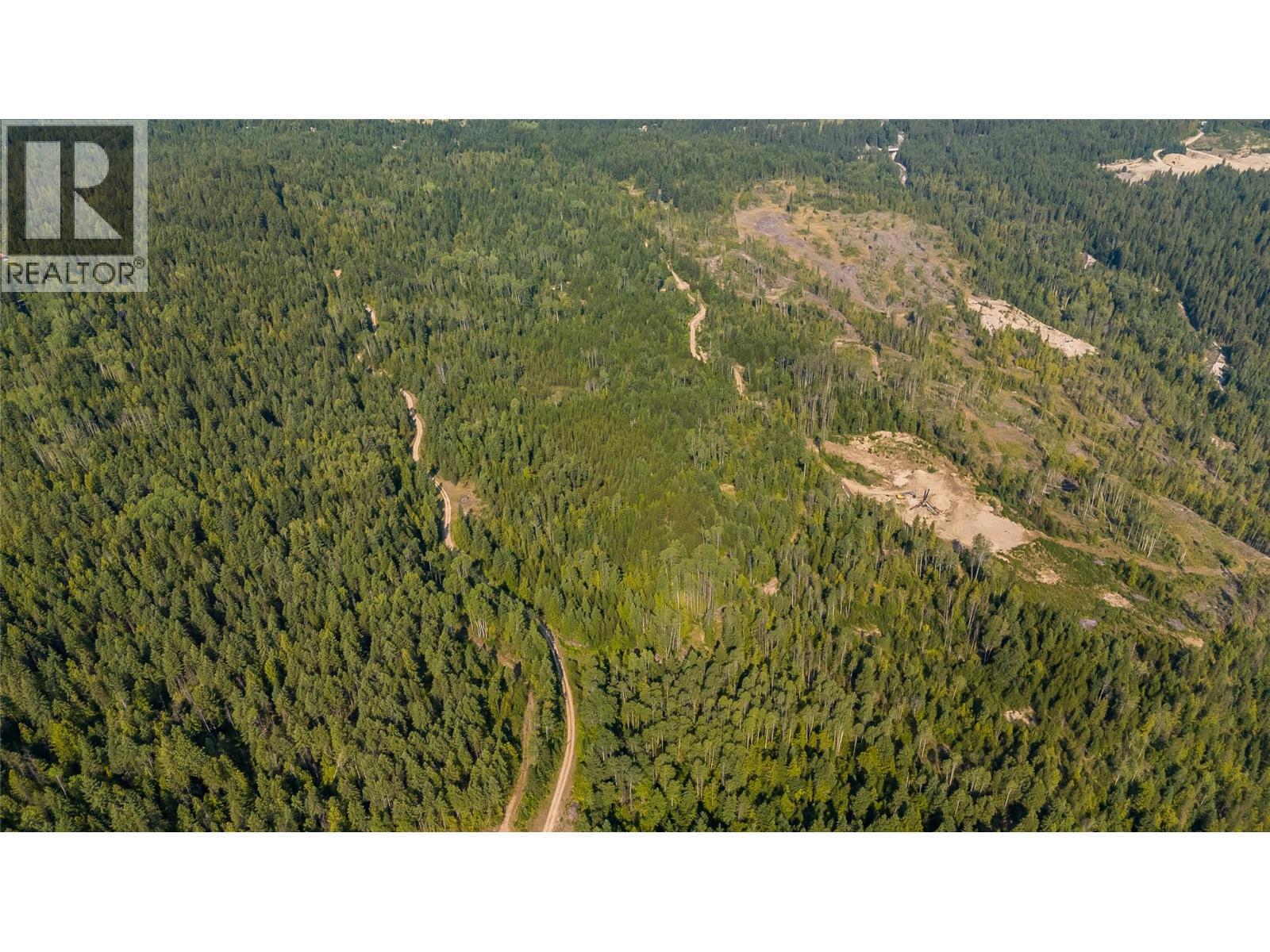 Lot 1 Elliot Forest Service Road, Lemon Creek, British Columbia  V0G 2C0 - Photo 18 - 10396677