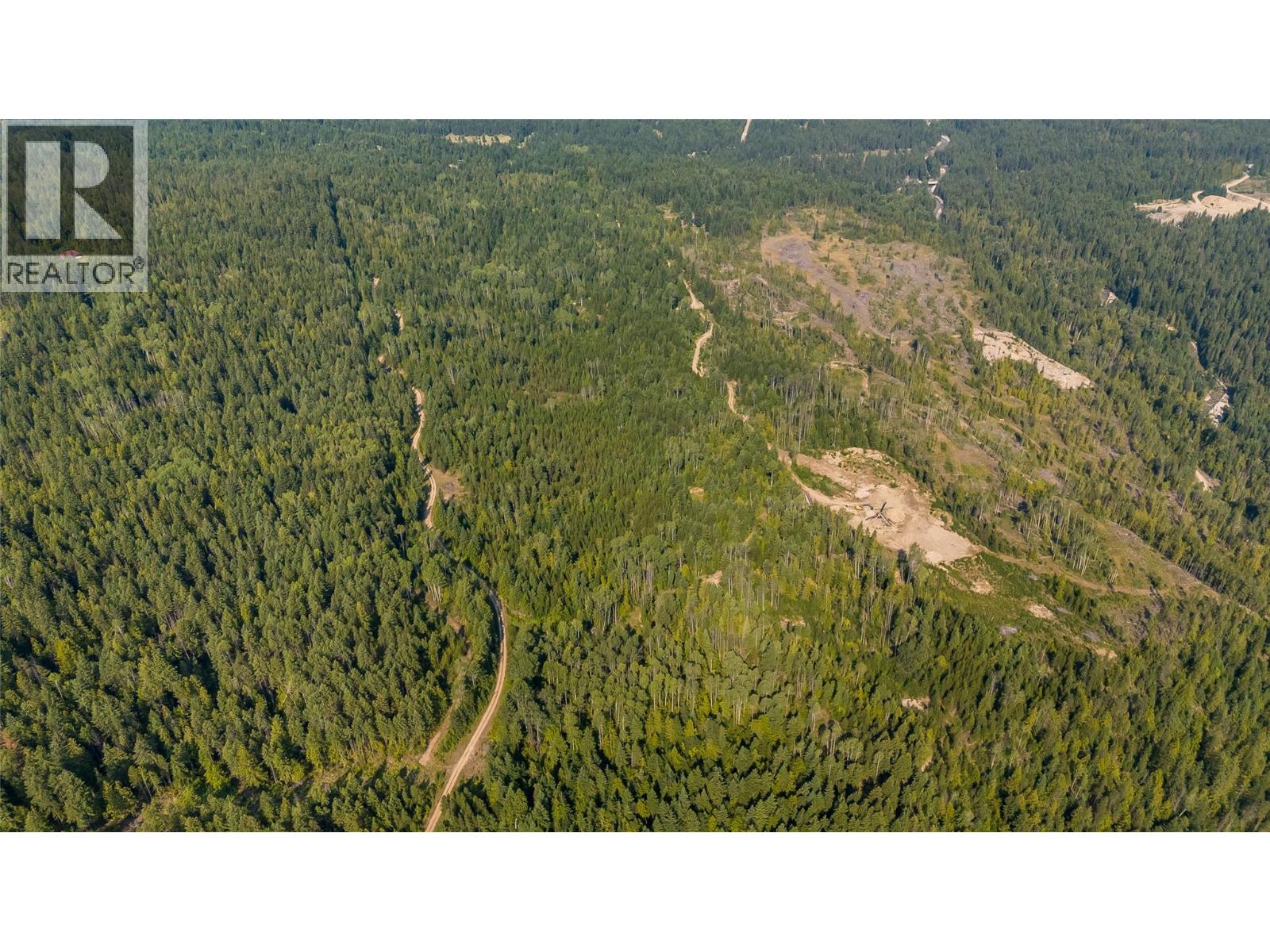 Lot 1 Elliot Forest Service Road, Lemon Creek, British Columbia  V0G 2C0 - Photo 19 - 10396677