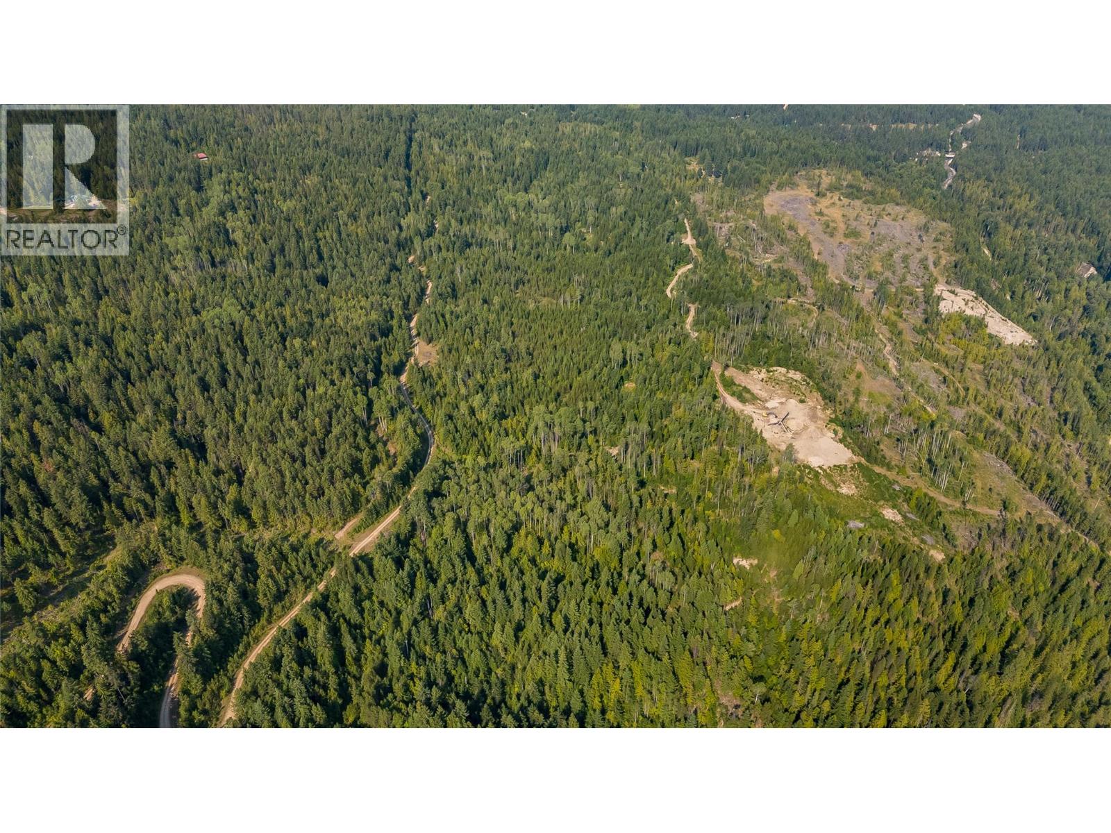 Lot 1 Elliot Forest Service Road, Lemon Creek, British Columbia  V0G 2C0 - Photo 20 - 10396677