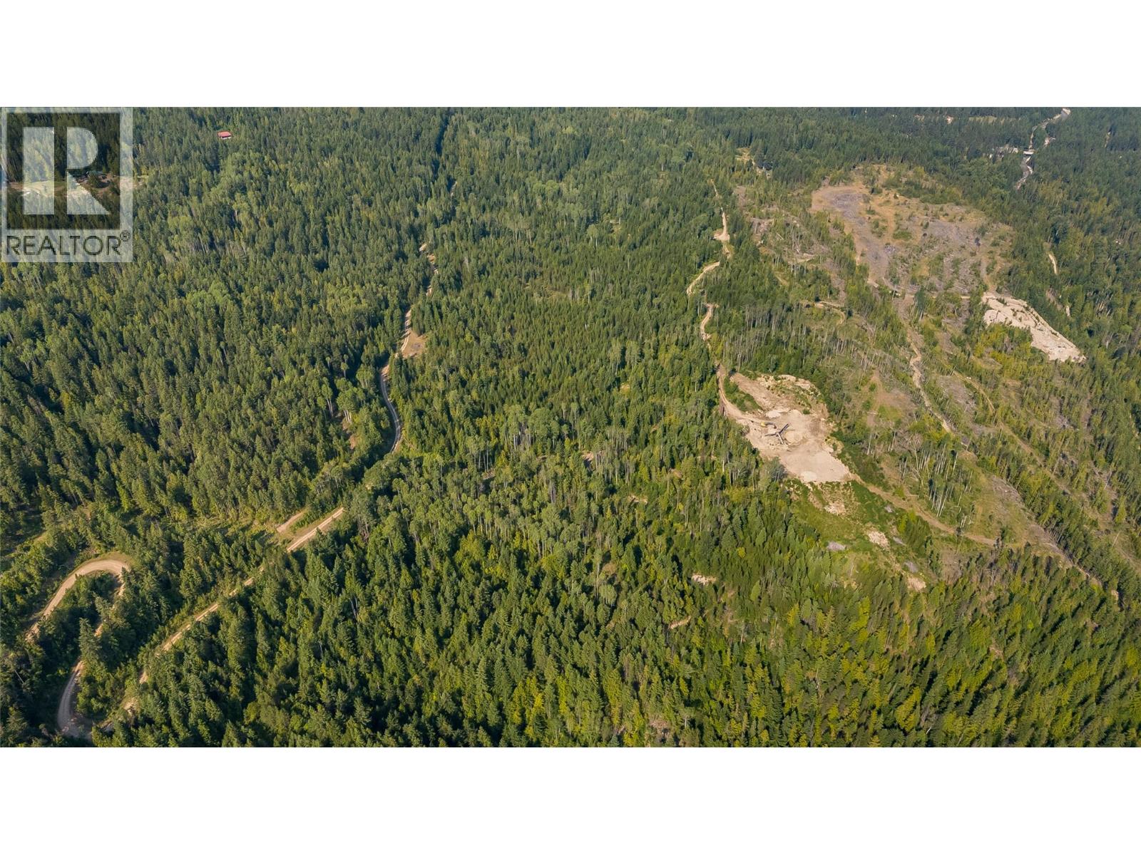 Lot 1 Elliot Forest Service Road, Lemon Creek, British Columbia  V0G 2C0 - Photo 21 - 10396677