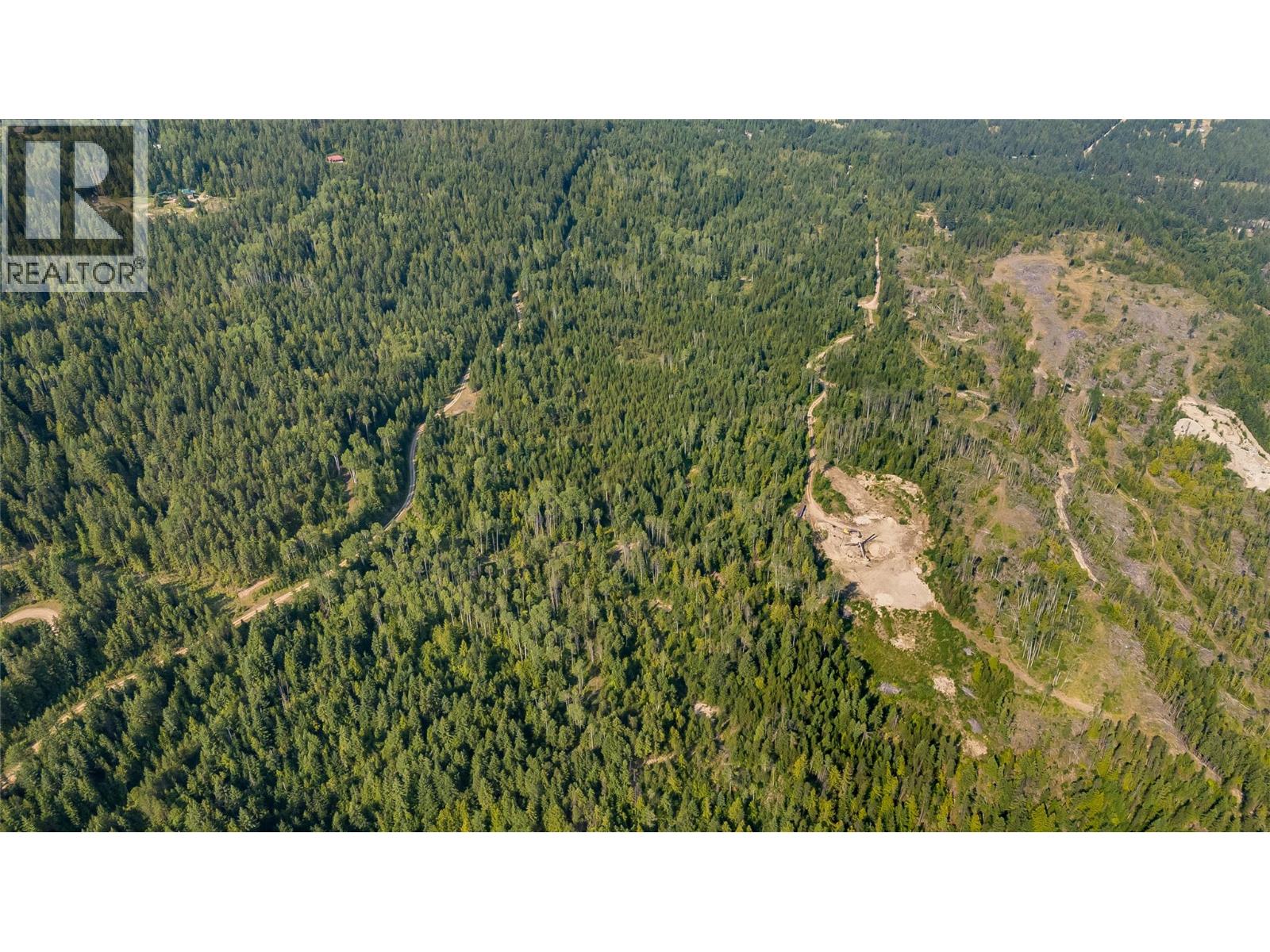 Lot 1 Elliot Forest Service Road, Lemon Creek, British Columbia  V0G 2C0 - Photo 22 - 10396677