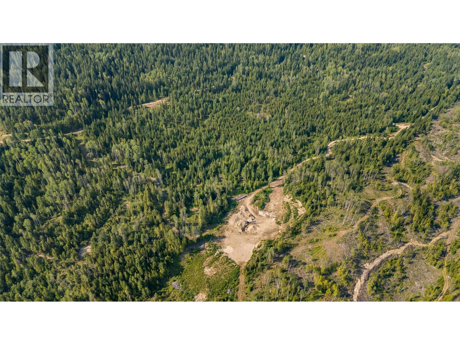 Lot 1 Elliot Forest Service Road, Lemon Creek, British Columbia  V0G 2C0 - Photo 23 - 10396677