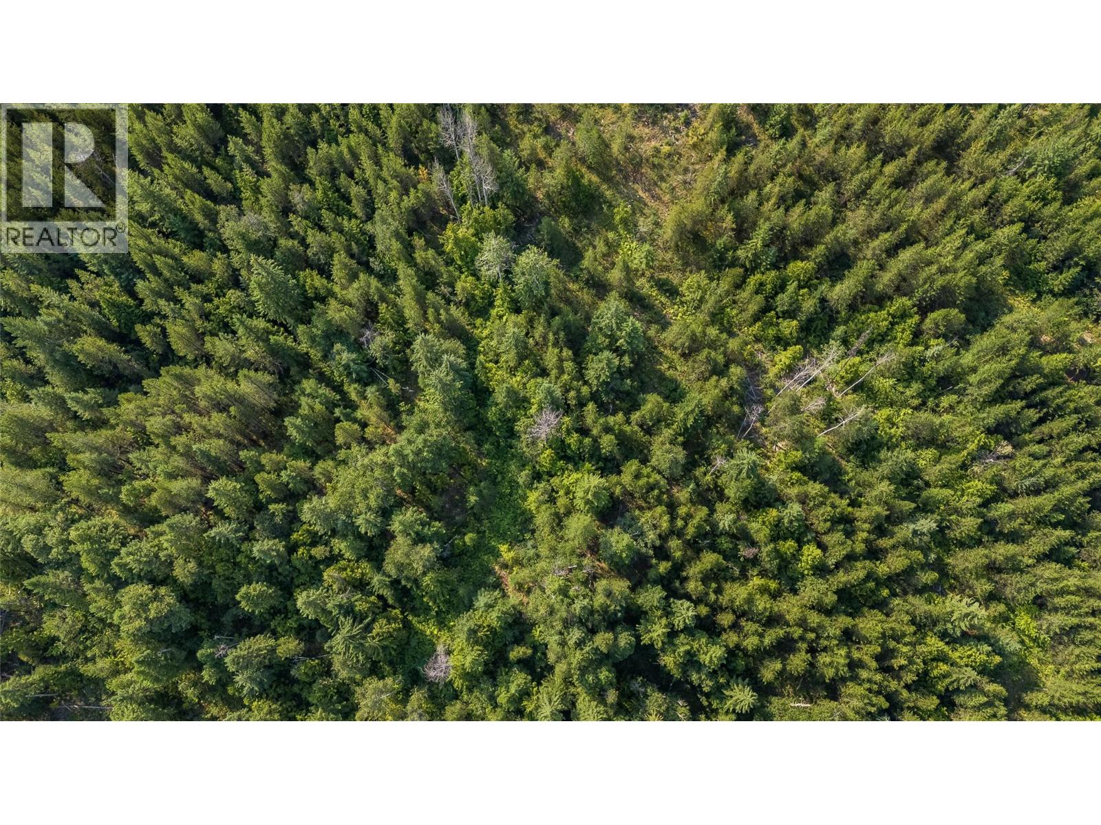 Lot 1 Elliot Forest Service Road, Lemon Creek, British Columbia  V0G 2C0 - Photo 27 - 10396677