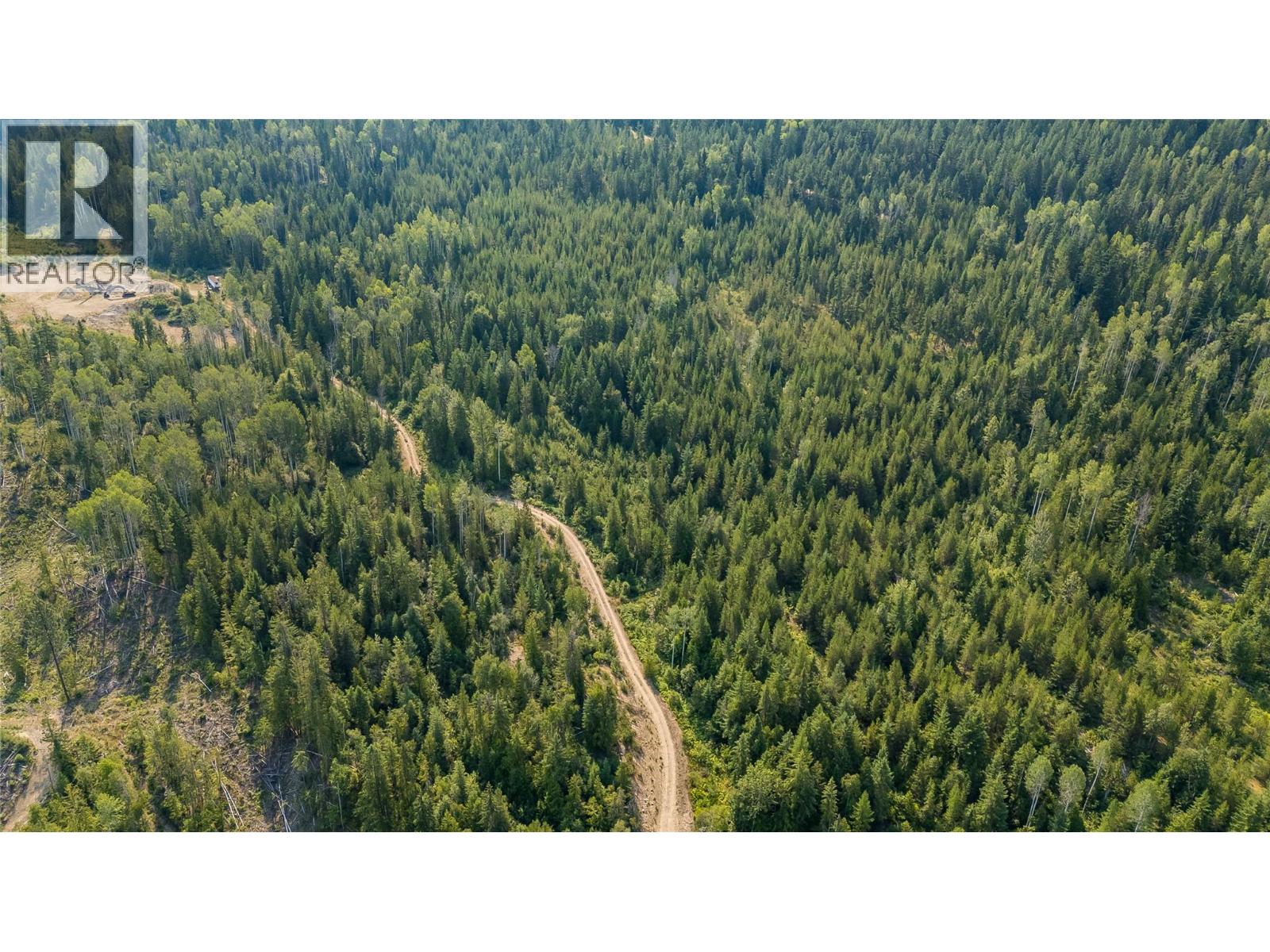 Lot 1 Elliot Forest Service Road, Lemon Creek, British Columbia  V0G 2C0 - Photo 28 - 10396677