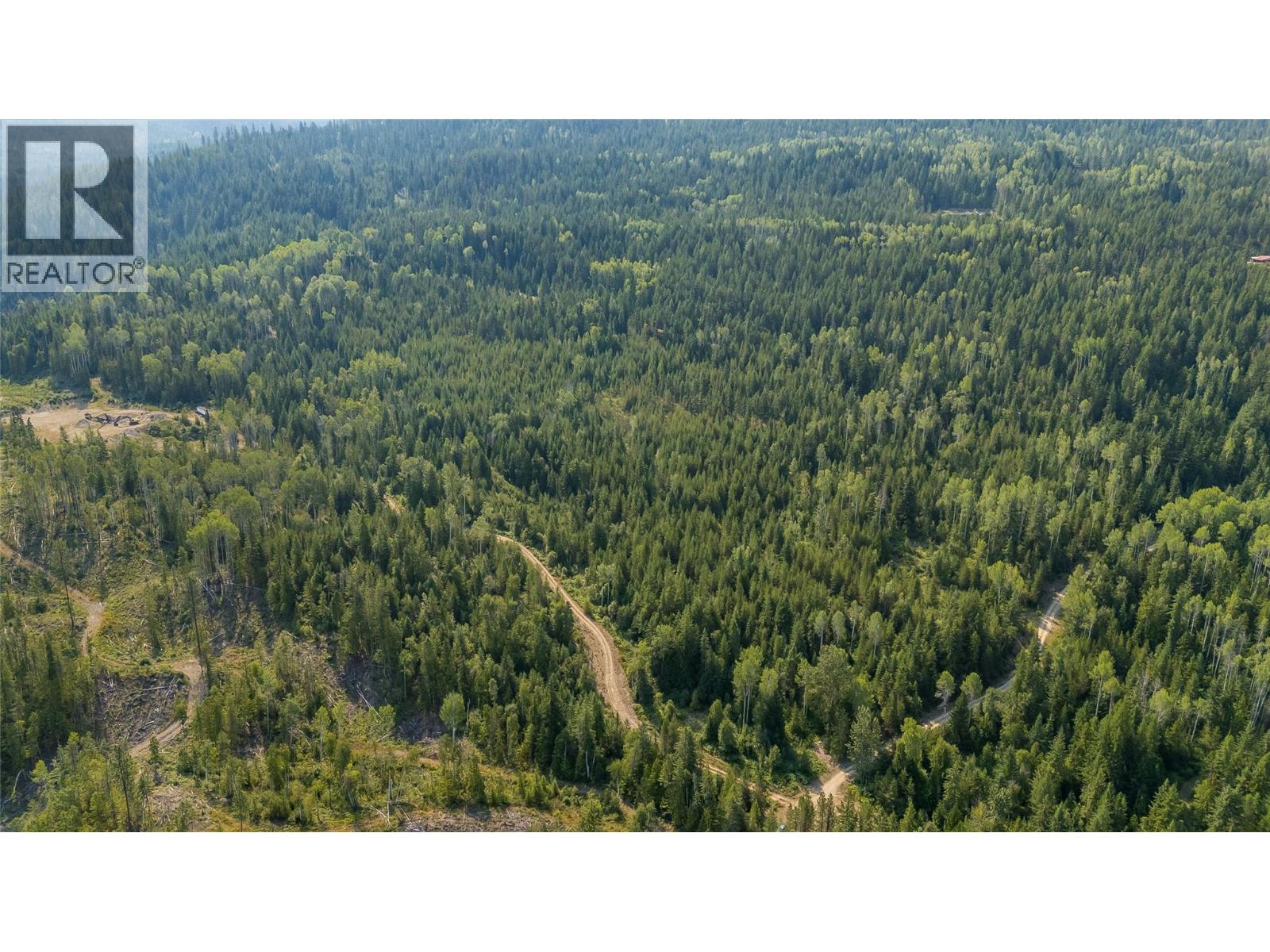 Lot 1 Elliot Forest Service Road, Lemon Creek, British Columbia  V0G 2C0 - Photo 29 - 10396677