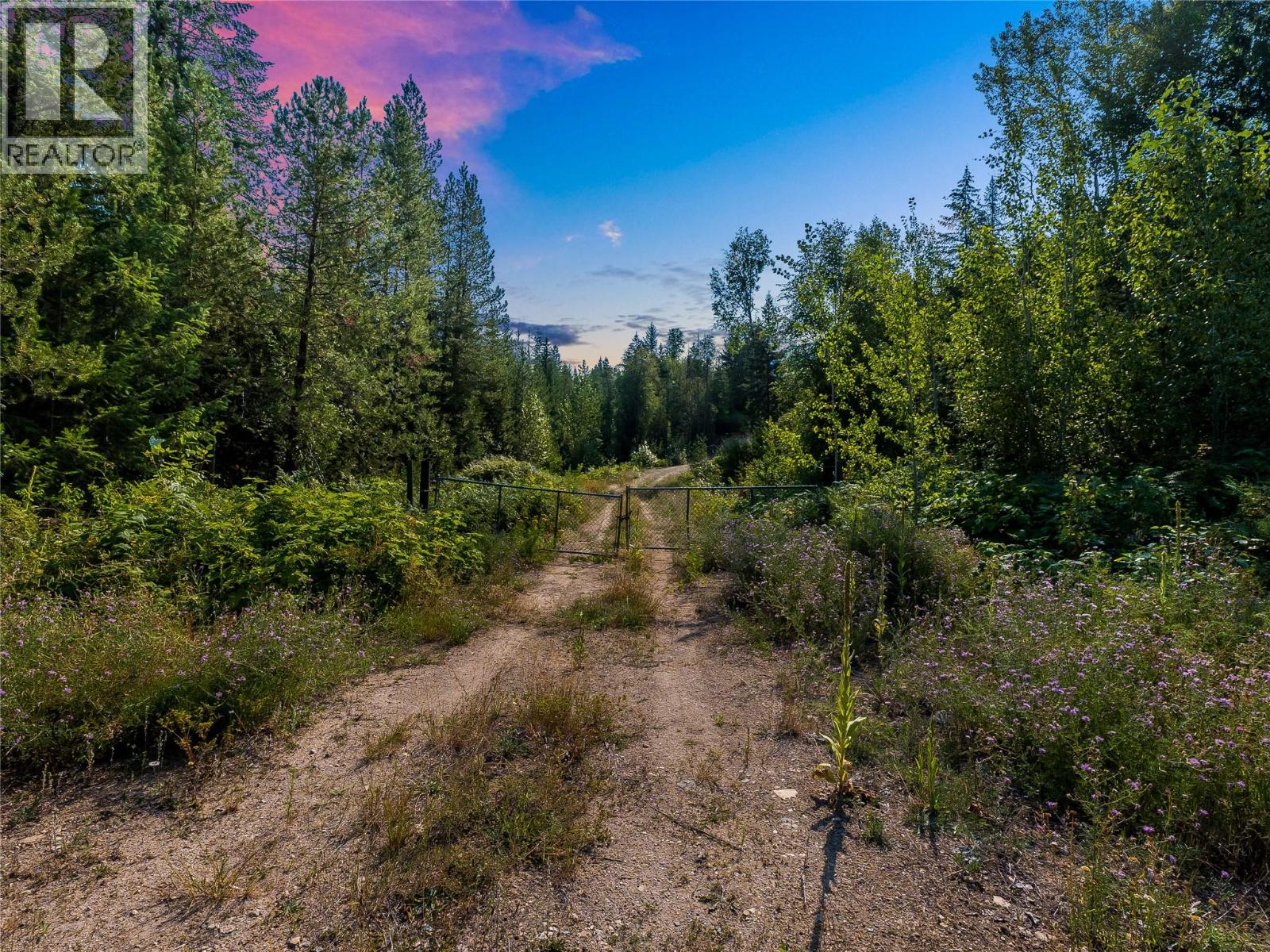 Lot 1 Elliot Forest Service Road, Lemon Creek, British Columbia  V0G 2C0 - Photo 3 - 10396677