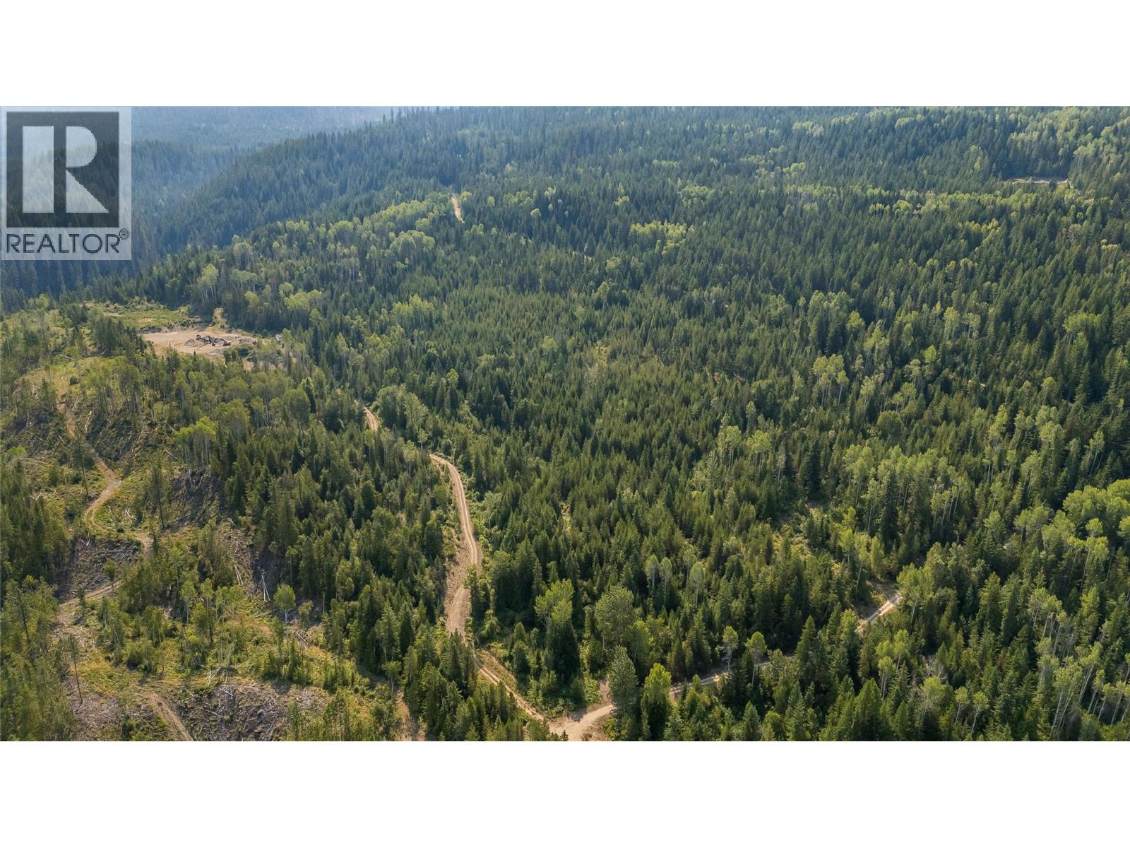 Lot 1 Elliot Forest Service Road, Lemon Creek, British Columbia  V0G 2C0 - Photo 30 - 10396677