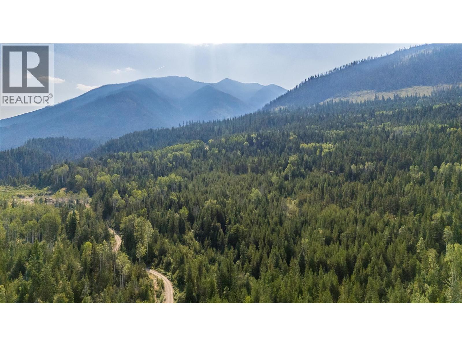Lot 1 Elliot Forest Service Road, Lemon Creek, British Columbia  V0G 2C0 - Photo 31 - 10396677
