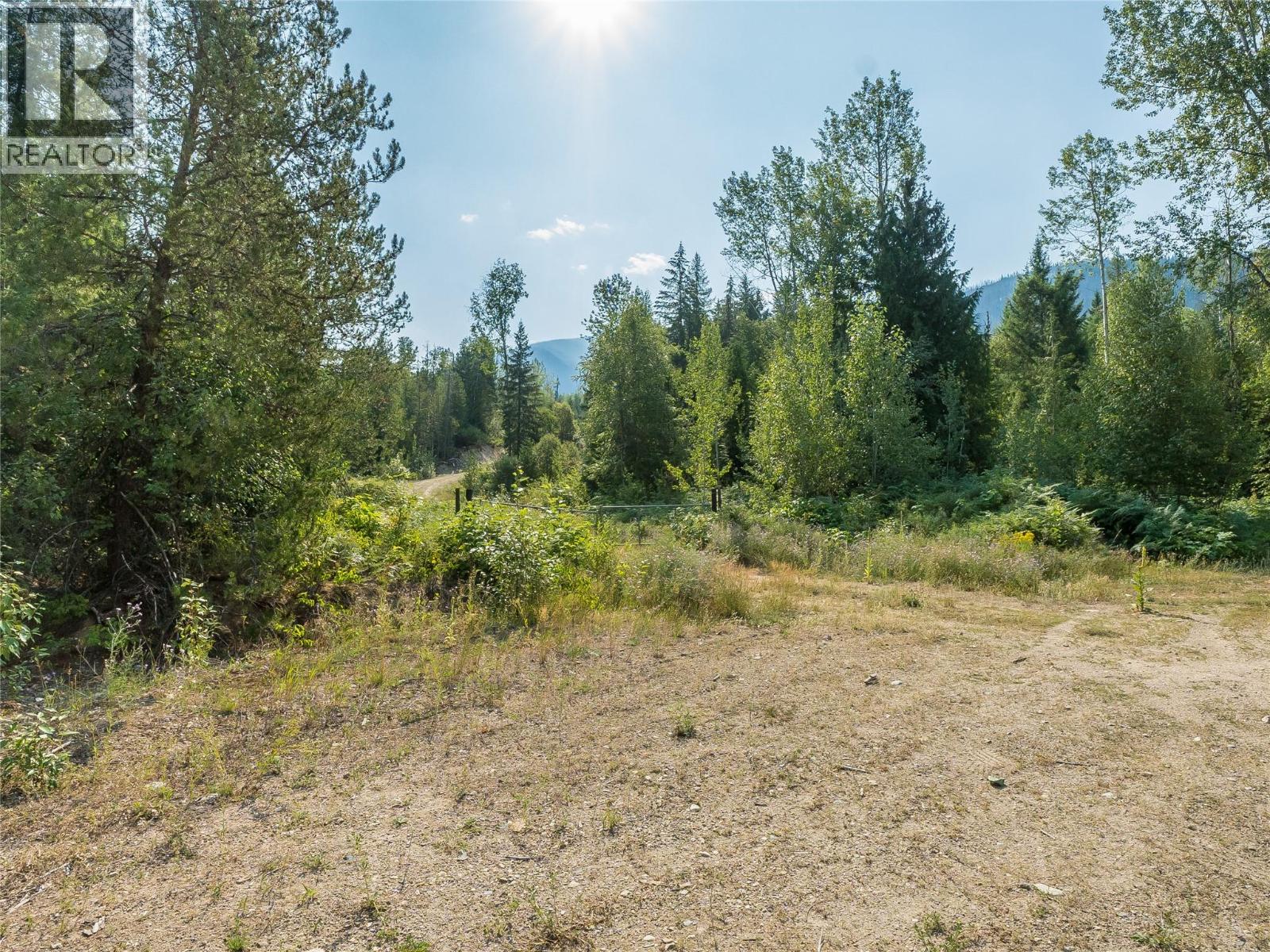 Lot 1 Elliot Forest Service Road, Lemon Creek, British Columbia  V0G 2C0 - Photo 33 - 10396677