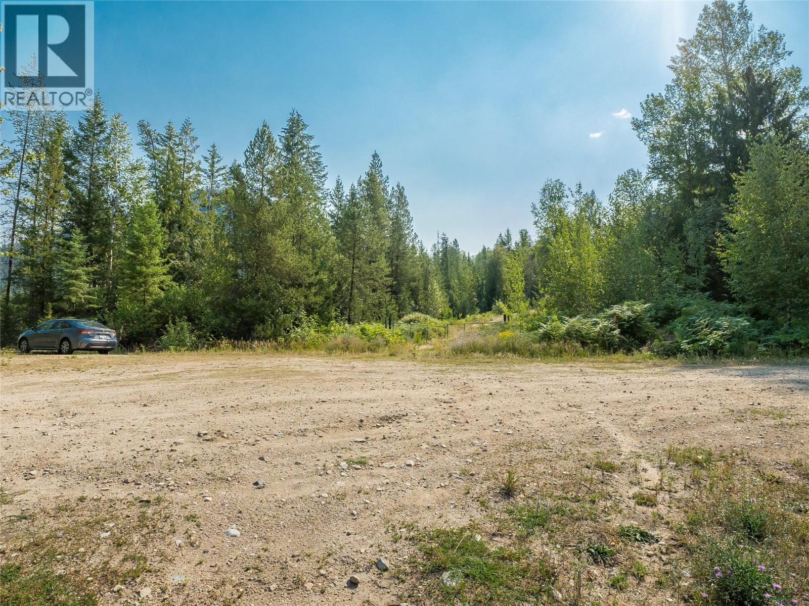 Lot 1 Elliot Forest Service Road, Lemon Creek, British Columbia  V0G 2C0 - Photo 35 - 10396677