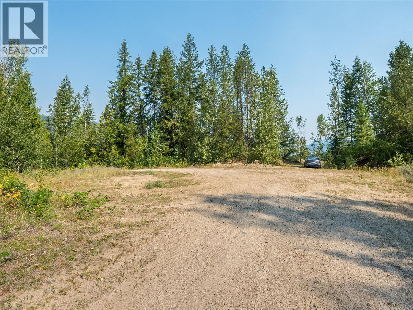 Lot 1 Elliot Forest Service Road, Lemon Creek, British Columbia  V0G 2C0 - Photo 36 - 10396677
