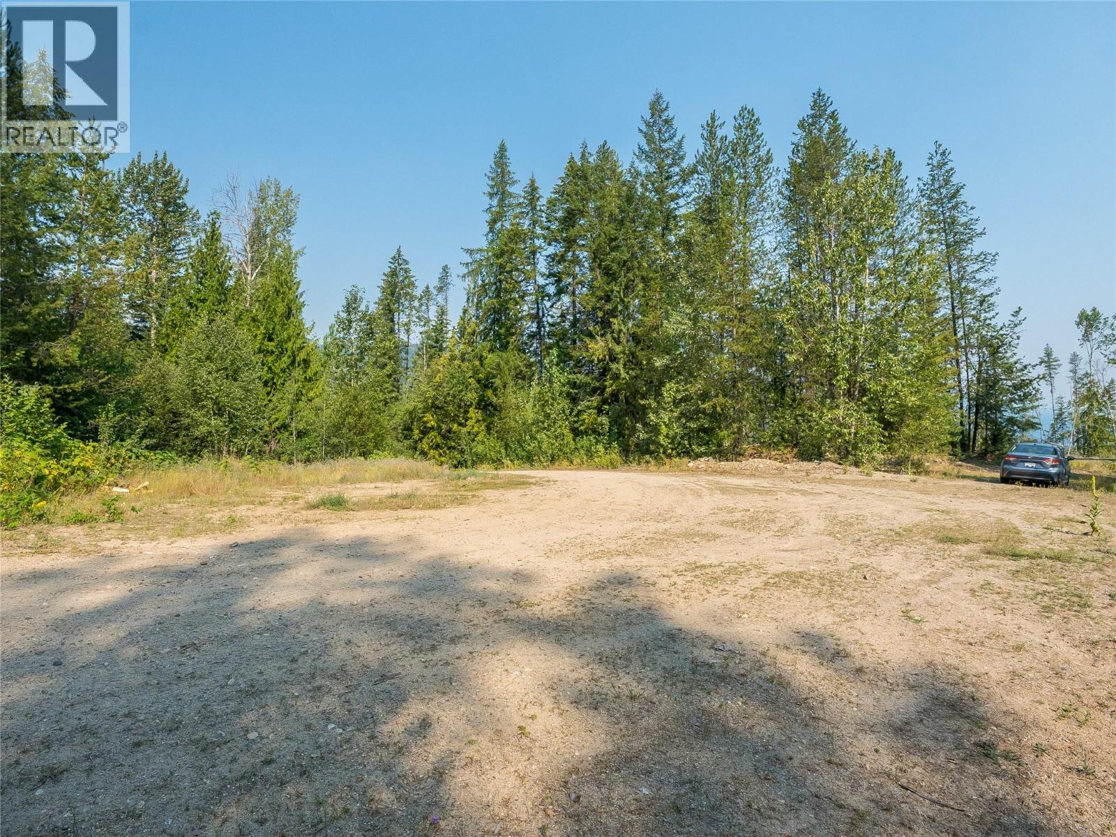 Lot 1 Elliot Forest Service Road, Lemon Creek, British Columbia  V0G 2C0 - Photo 37 - 10396677