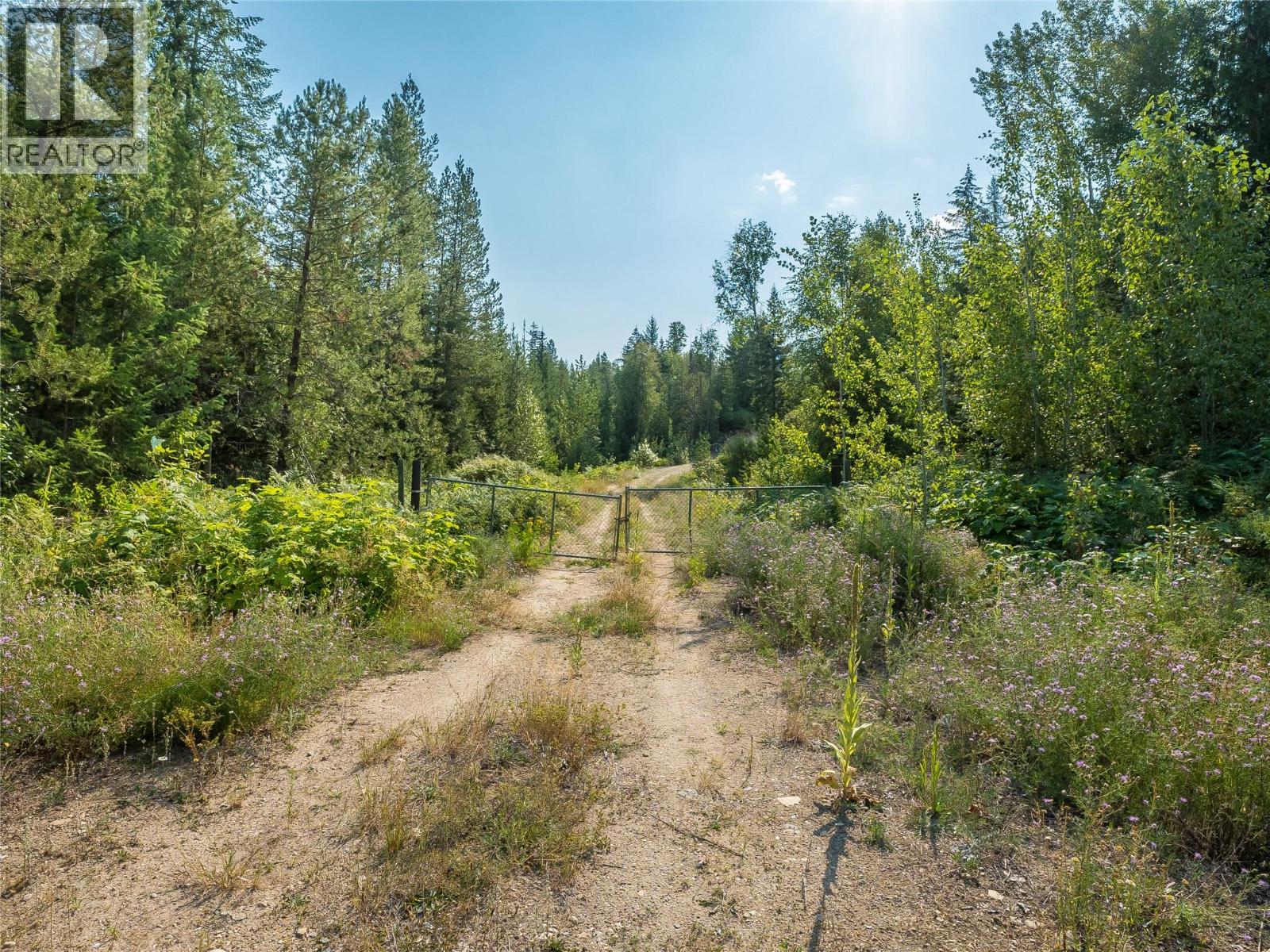 Lot 1 Elliot Forest Service Road, Lemon Creek, British Columbia  V0G 2C0 - Photo 38 - 10396677