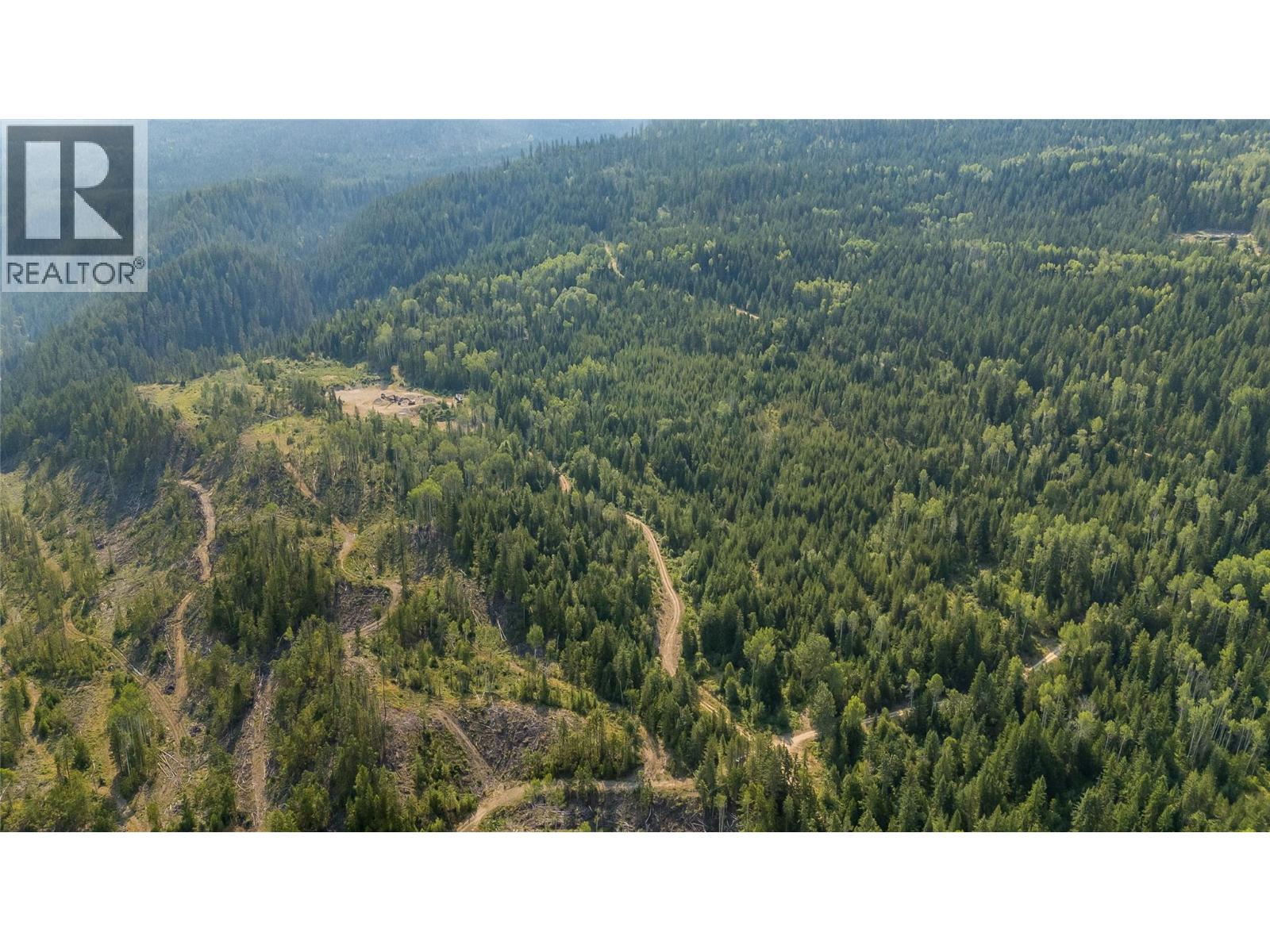 Lot 1 Elliot Forest Service Road, Lemon Creek, British Columbia  V0G 2C0 - Photo 4 - 10396677