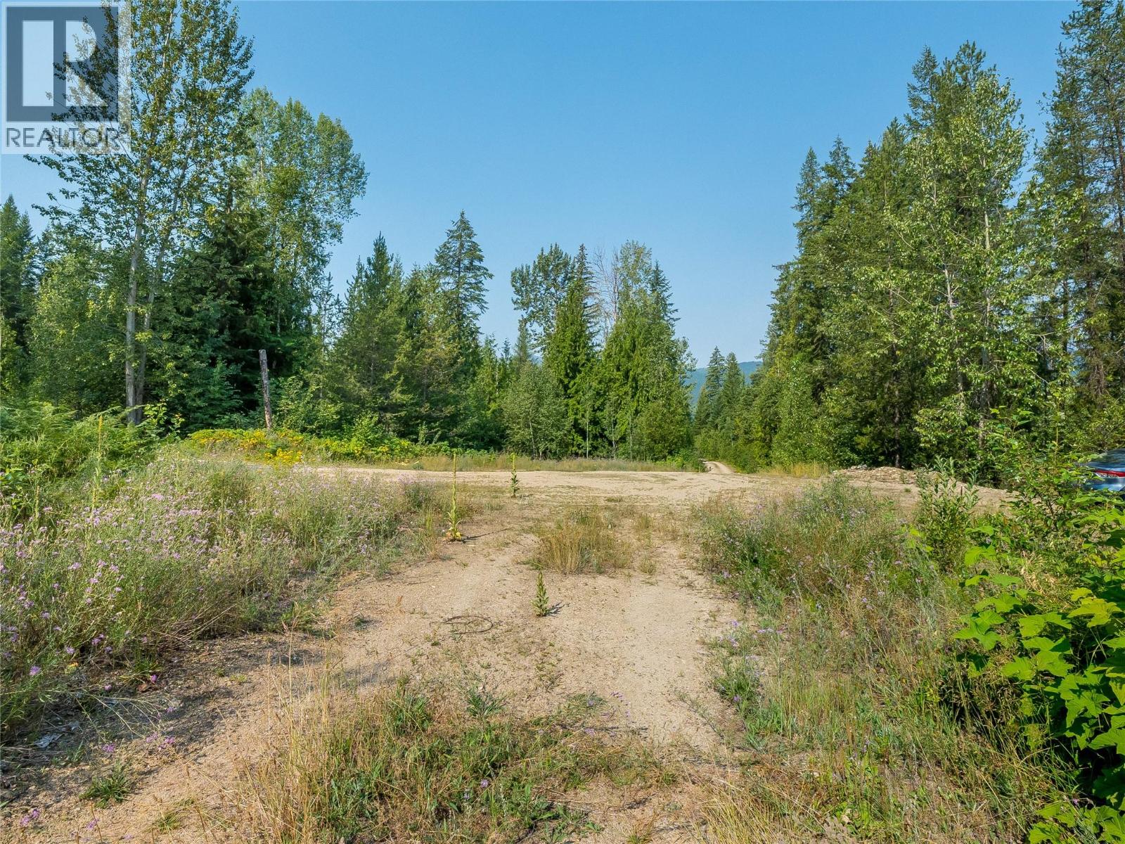 Lot 1 Elliot Forest Service Road, Lemon Creek, British Columbia  V0G 2C0 - Photo 40 - 10396677