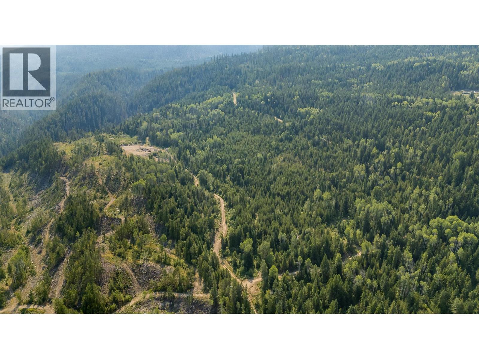 Lot 1 Elliot Forest Service Road, Lemon Creek, British Columbia  V0G 2C0 - Photo 5 - 10396677