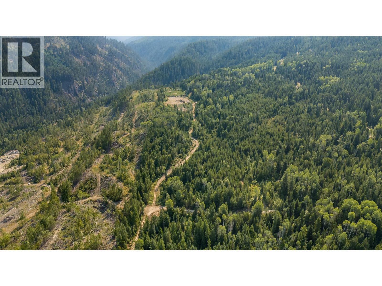 Lot 1 Elliot Forest Service Road, Lemon Creek, British Columbia  V0G 2C0 - Photo 8 - 10396677