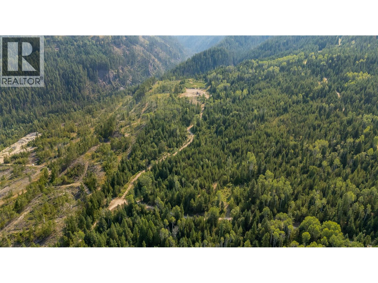 Lot 1 Elliot Forest Service Road, Lemon Creek, British Columbia  V0G 2C0 - Photo 9 - 10396677