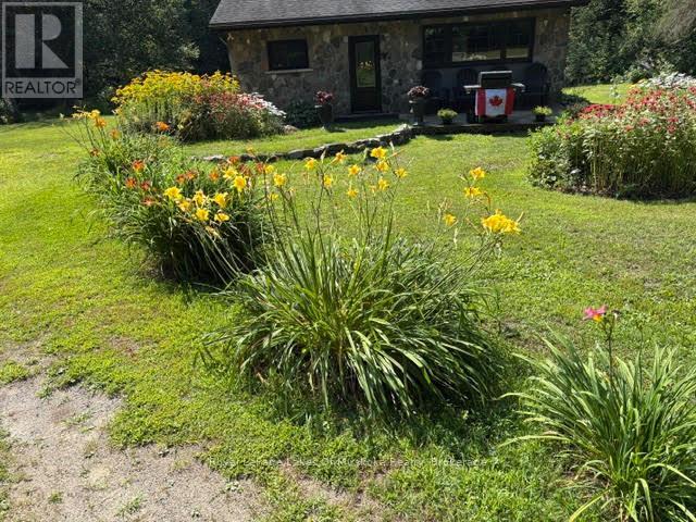 2551 Yearley Road, Huntsville, Ontario  P0B 1L0 - Photo 2 - X13651802