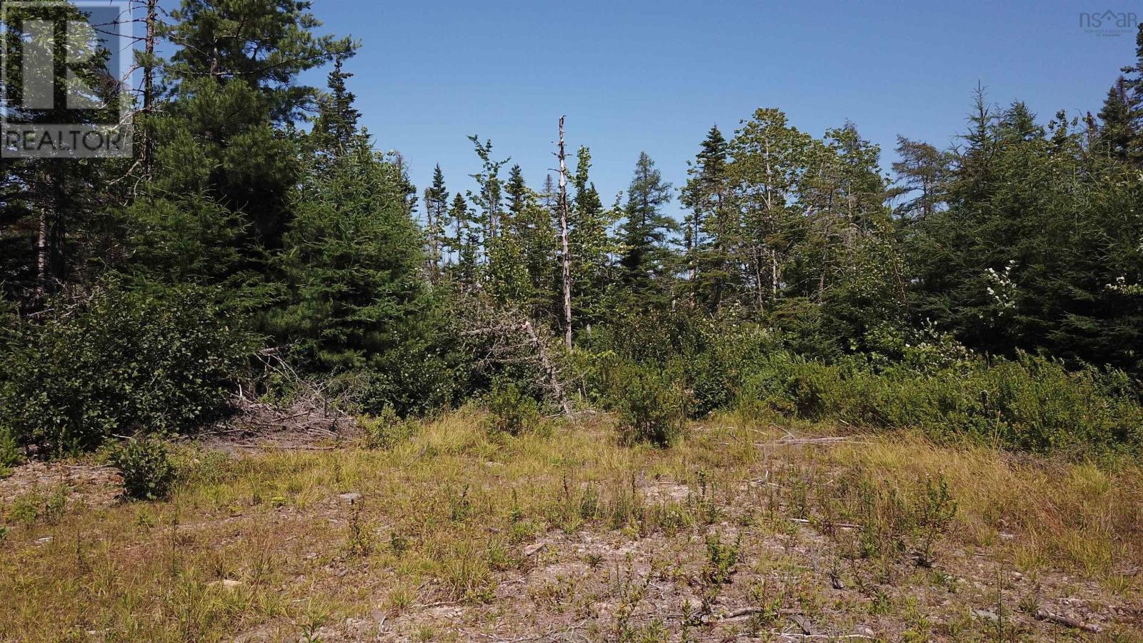 Lot Spar Lake, Port Dufferin, Nova Scotia  B0J 2R0 - Photo 13 - 202619873