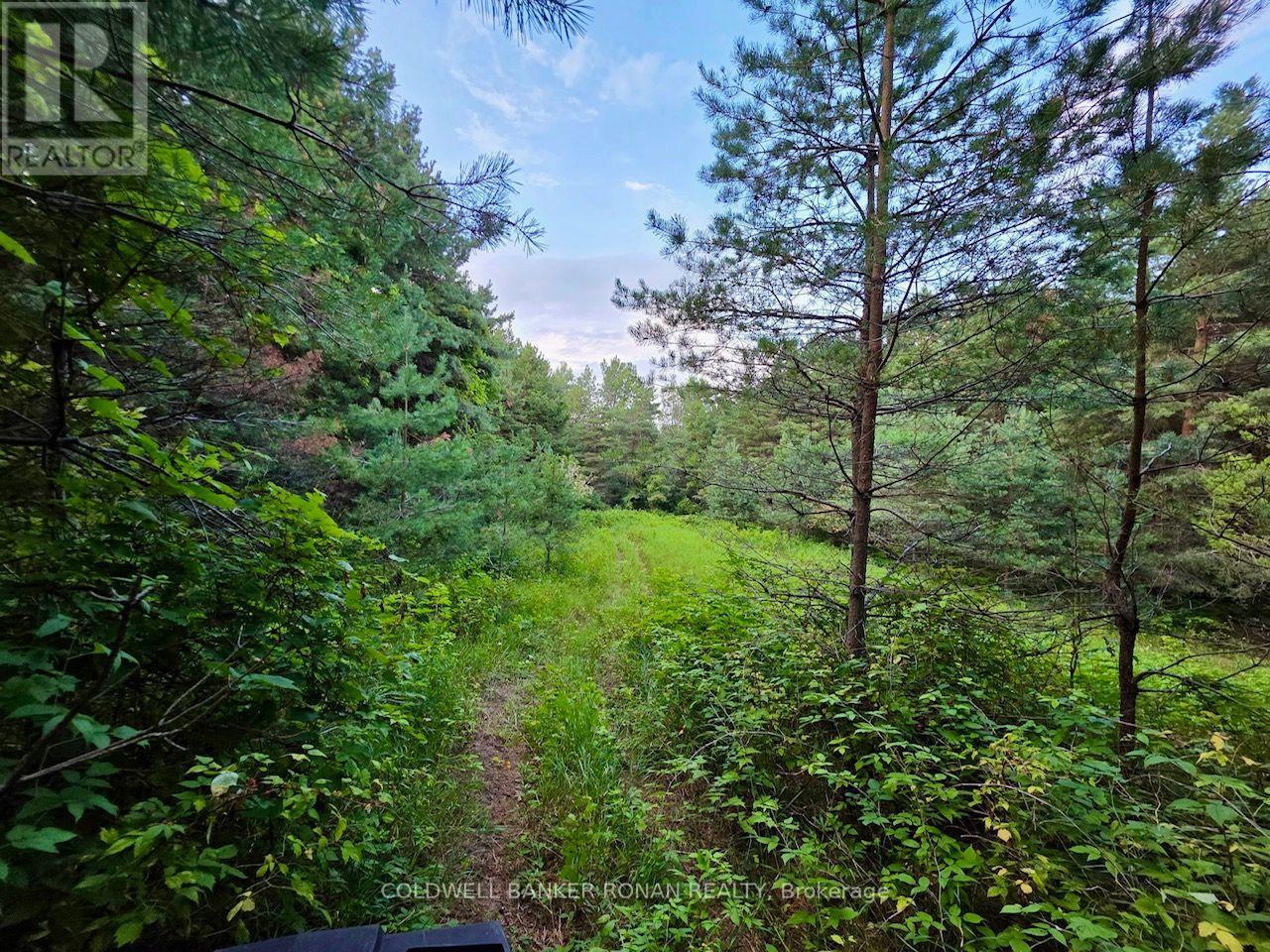 3430 Concession 3 S, Clearview (Creemore), Ontario  L0M 1G0 - Photo 41 - S13651496