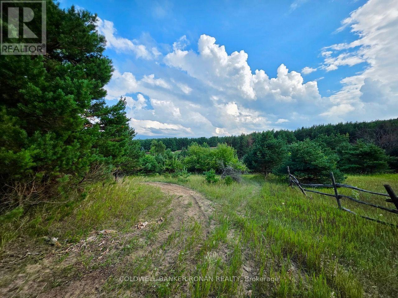 3430 Concession 3 S, Clearview (Creemore), Ontario  L0M 1G0 - Photo 42 - S13651496