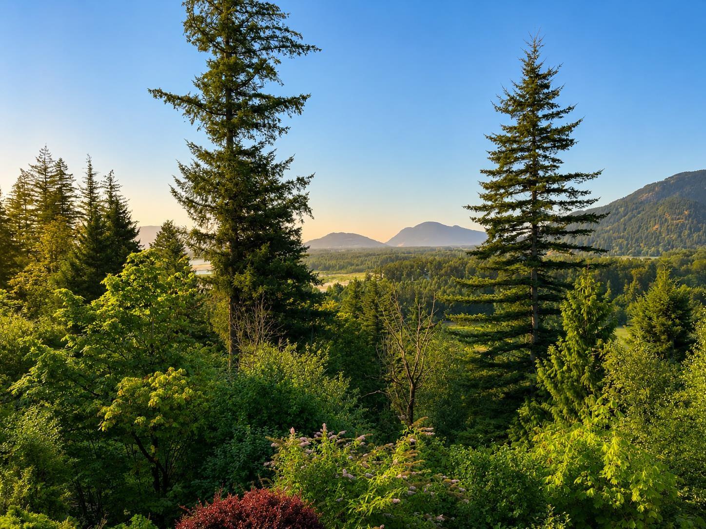 1459 Highlands Boulevard, Mt Woodside, Agassiz, British Columbia  V0M 1A1 - Photo 20 - R3153331