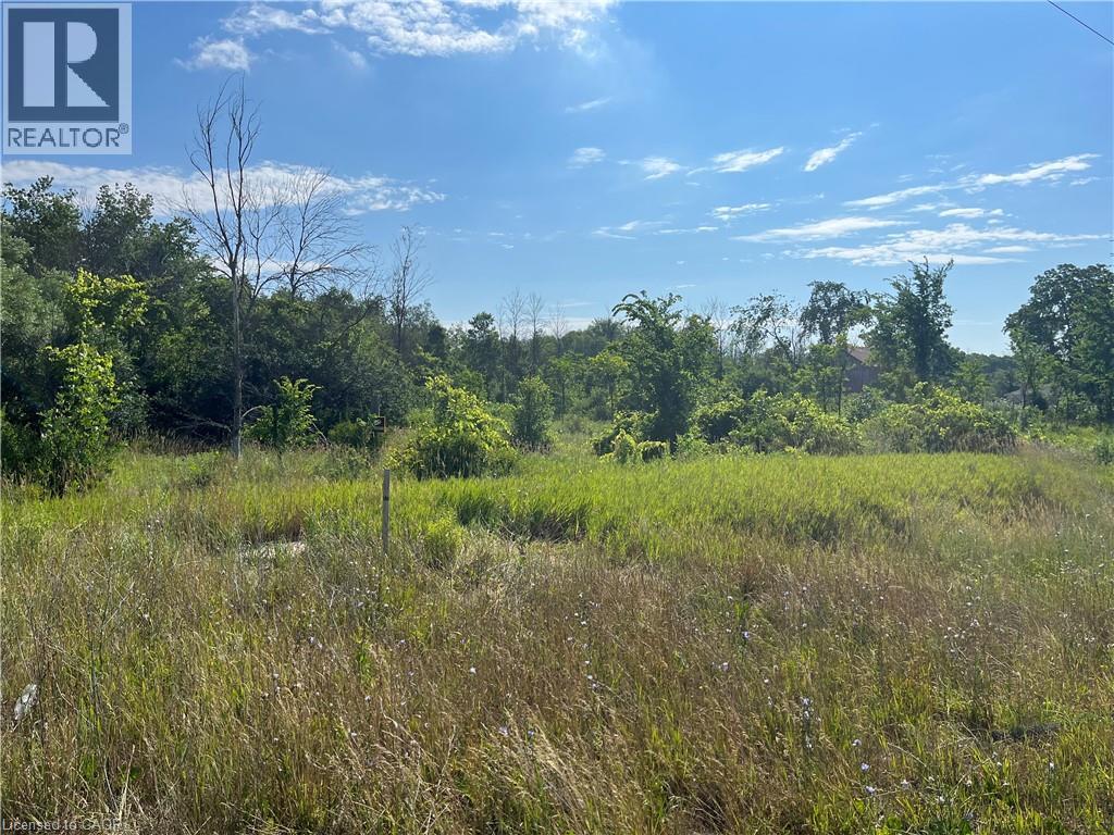 1276 #6 Highway, Hamilton, Ontario  L0R 1V0 - Photo 3 - 40852647