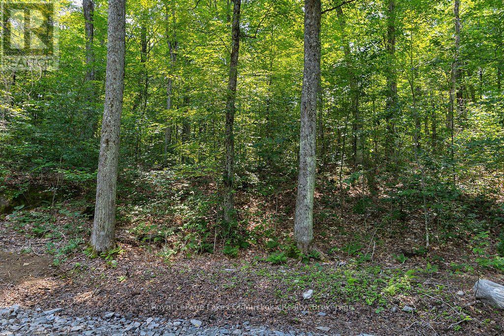 Lot #15 - 101 Gryffin Bluffs Lane, Huntsville, Ontario  P0B 1M0 - Photo 10 - X13651810