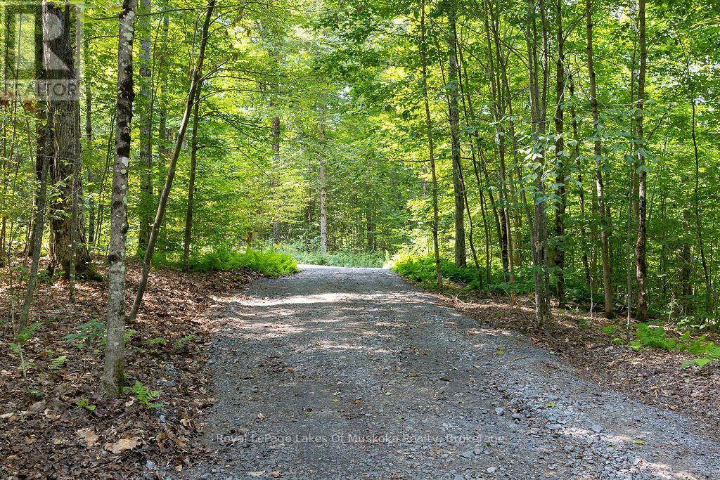 Lot #15 - 101 Gryffin Bluffs Lane, Huntsville, Ontario  P0B 1M0 - Photo 13 - X13651810