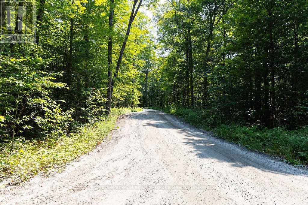 Lot #15 - 101 Gryffin Bluffs Lane, Huntsville, Ontario  P0B 1M0 - Photo 14 - X13651810