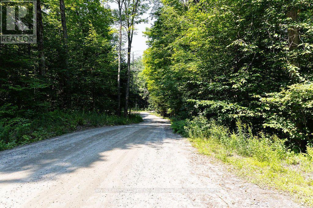 Lot #15 - 101 Gryffin Bluffs Lane, Huntsville, Ontario  P0B 1M0 - Photo 15 - X13651810