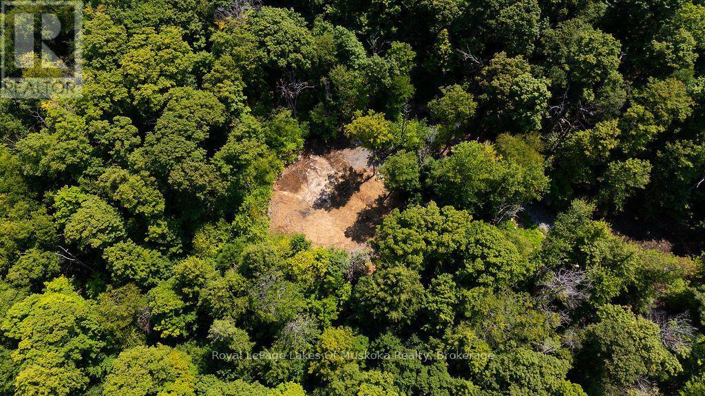 Lot #15 - 101 Gryffin Bluffs Lane, Huntsville, Ontario  P0B 1M0 - Photo 2 - X13651810