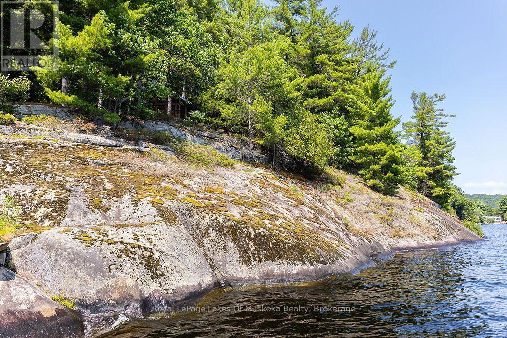 Lot #15 - 101 Gryffin Bluffs Lane, Huntsville, Ontario  P0B 1M0 - Photo 23 - X13651810