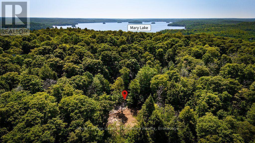Lot #15 - 101 Gryffin Bluffs Lane, Huntsville, Ontario  P0B 1M0 - Photo 3 - X13651810