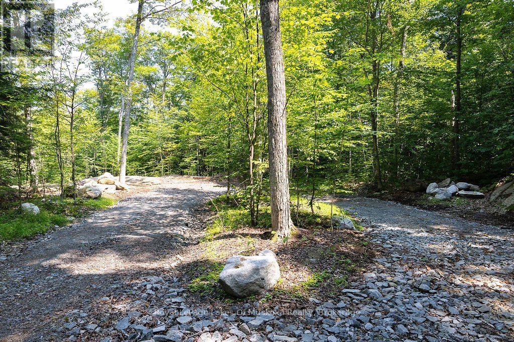 Lot #15 - 101 Gryffin Bluffs Lane, Huntsville, Ontario  P0B 1M0 - Photo 4 - X13651810