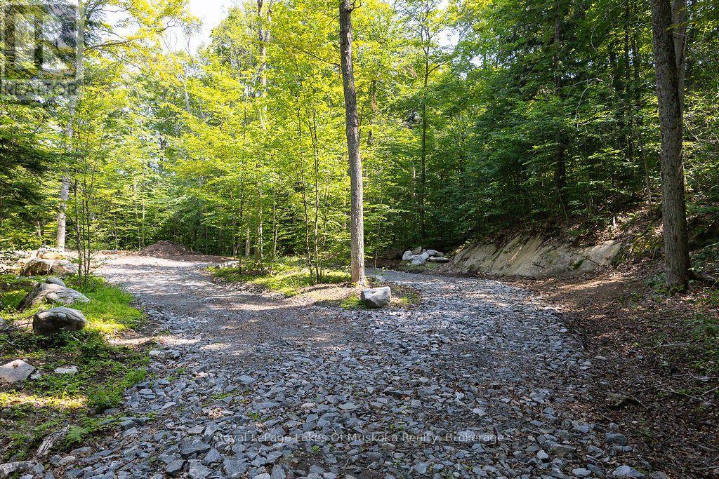 Lot #15 - 101 Gryffin Bluffs Lane, Huntsville, Ontario  P0B 1M0 - Photo 6 - X13651810