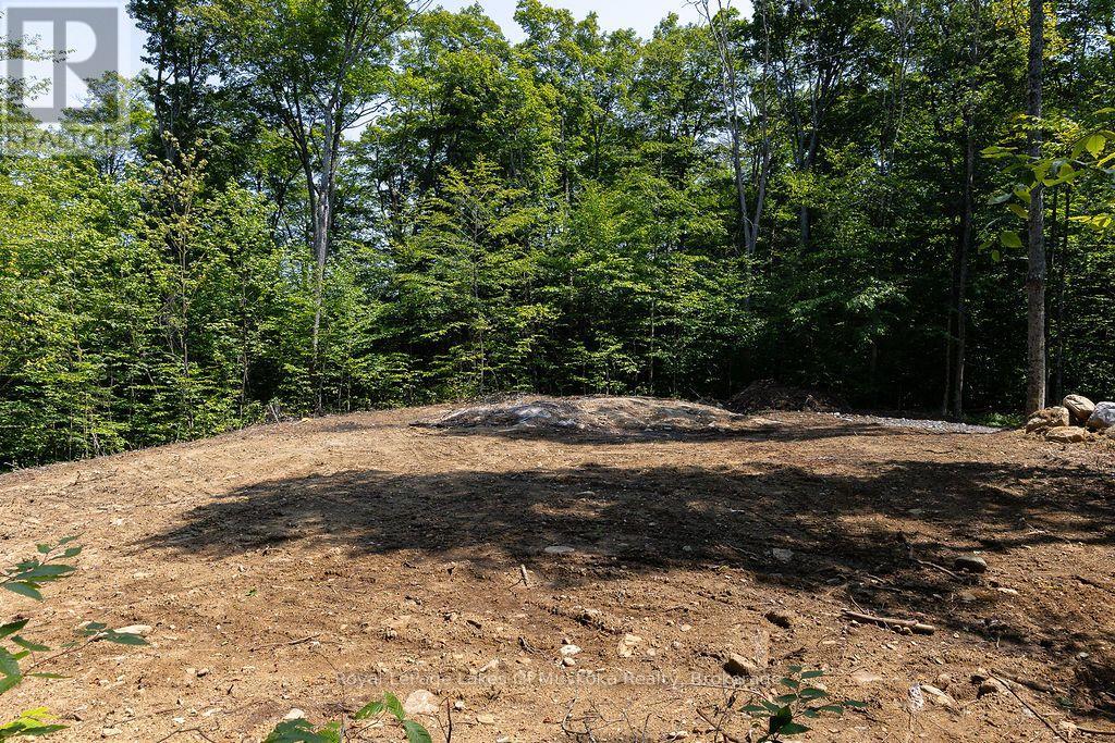 Lot #15 - 101 Gryffin Bluffs Lane, Huntsville, Ontario  P0B 1M0 - Photo 7 - X13651810