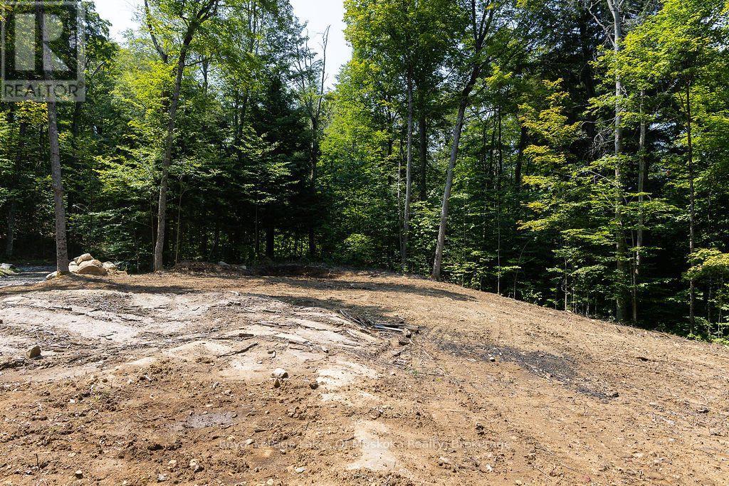 Lot #15 - 101 Gryffin Bluffs Lane, Huntsville, Ontario  P0B 1M0 - Photo 8 - X13651810