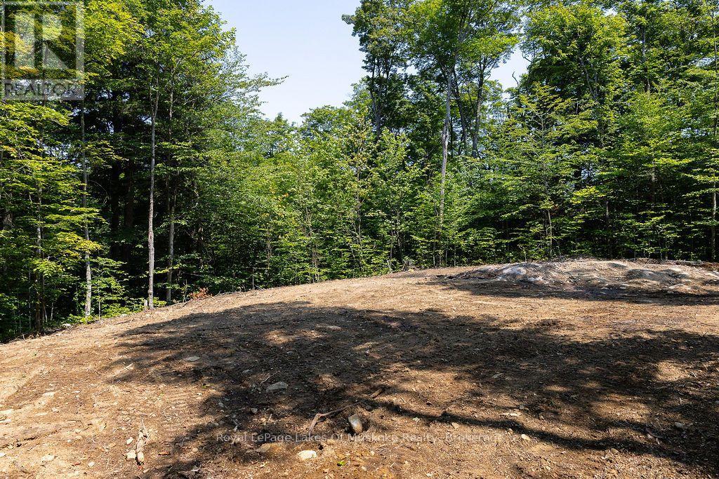 Lot #15 - 101 Gryffin Bluffs Lane, Huntsville, Ontario  P0B 1M0 - Photo 9 - X13651810
