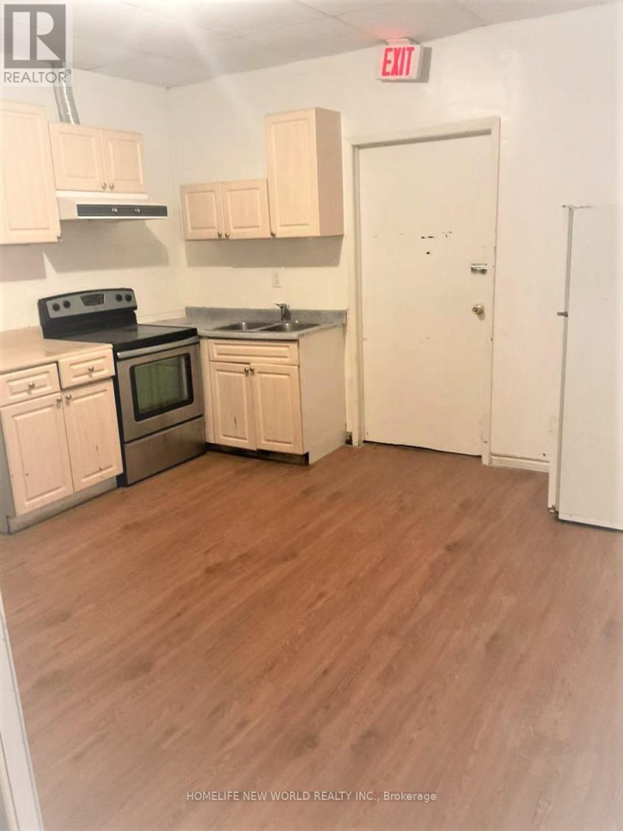 Lower Level Basement - 584 Dundas Street W, Toronto, Ontario M5T 1H5 - Photo 11 - C13651828