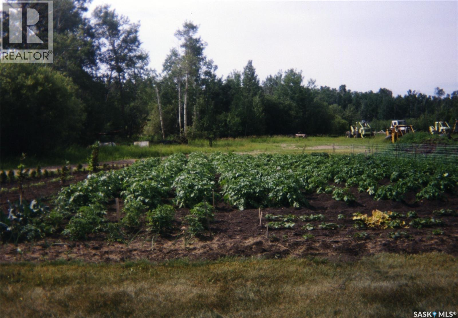 Martin Farm-Somme, Porcupine Rm No. 395, Saskatchewan  S0E 1H0 - Photo 29 - SK036036