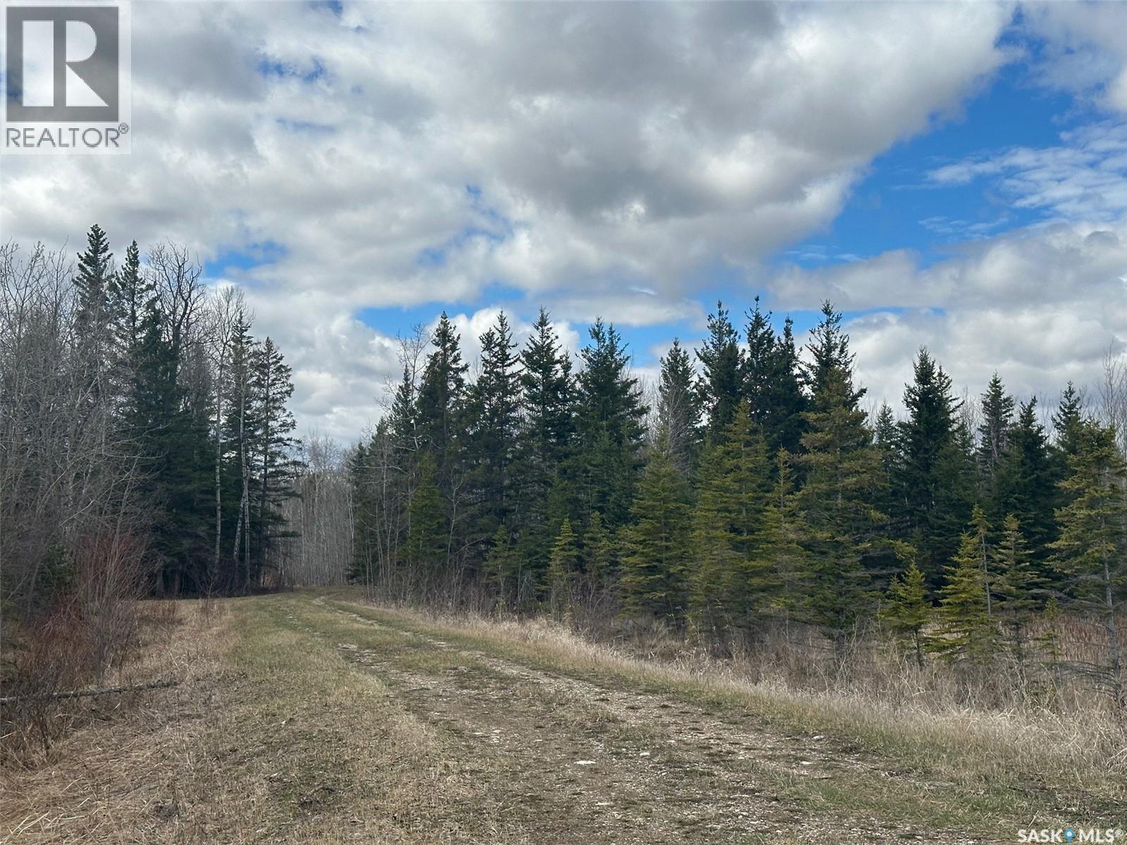 Martin Farm-Somme, Porcupine Rm No. 395, Saskatchewan  S0E 1H0 - Photo 36 - SK036036