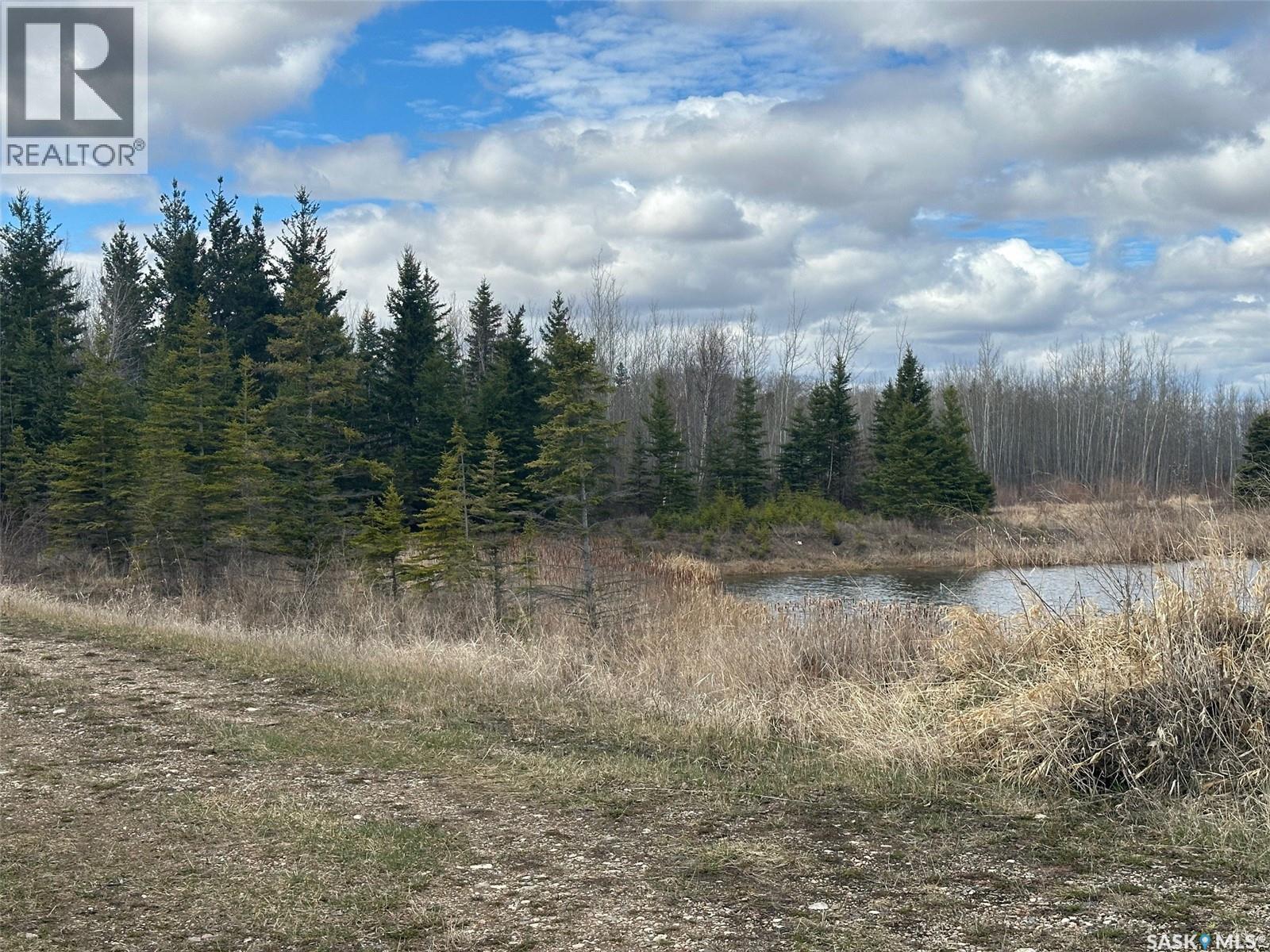 Martin Farm-Somme, Porcupine Rm No. 395, Saskatchewan  S0E 1H0 - Photo 37 - SK036036
